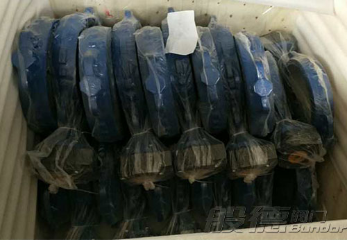 般德渦輪蝶閥、止回閥、過(guò)濾器等出口以色列
